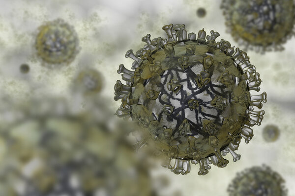 Realistic model of flu virus 