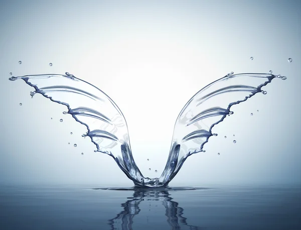 Splash in form of wings — Stock Photo, Image