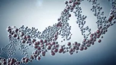 DNA molekülleri kurulan