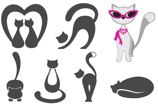 Set of various cats — Stock Vector