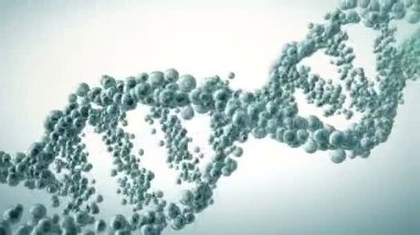 DNA molekülleri kurulan