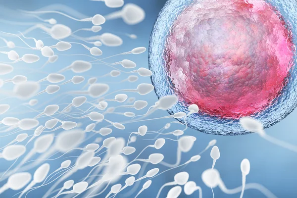 Illustrazione di spermatozoi e ovociti — Foto Stock