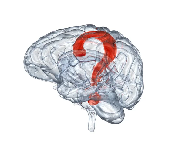 Cerebro humano de vidrio con signo de interrogación dentro —  Fotos de Stock