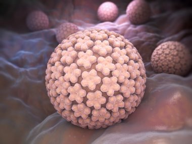Papilloma Virus. HPV clipart