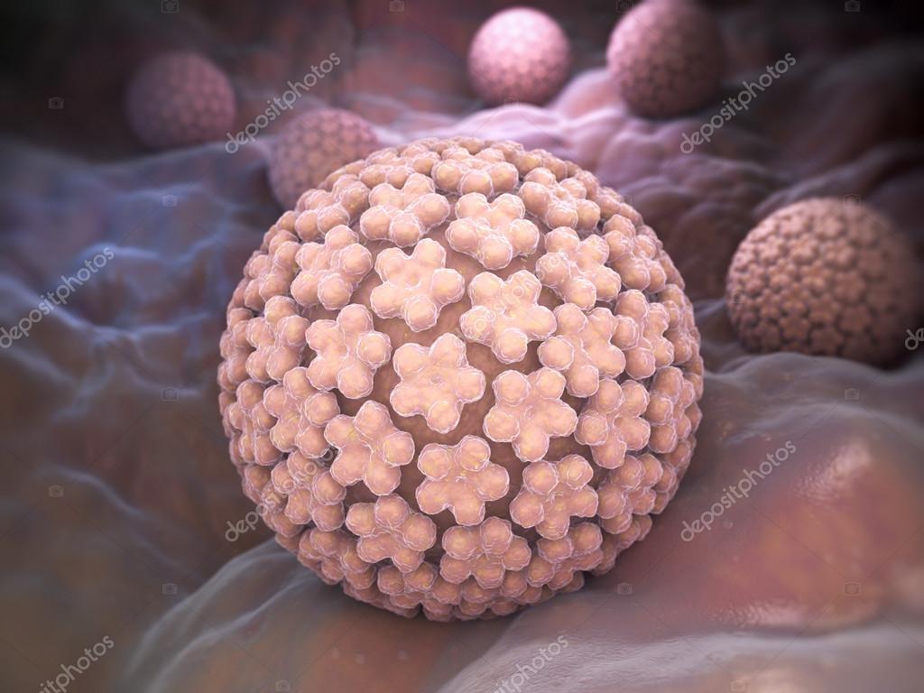 Papilloma virus e ano, Virusul HPV, asimptomatic - Revista Galenus