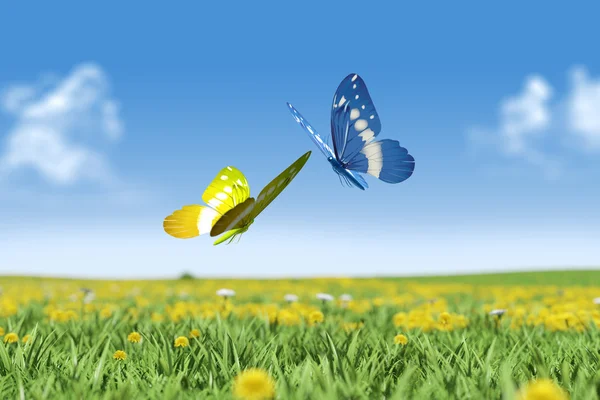Couple of Butterflies — Stock Photo, Image