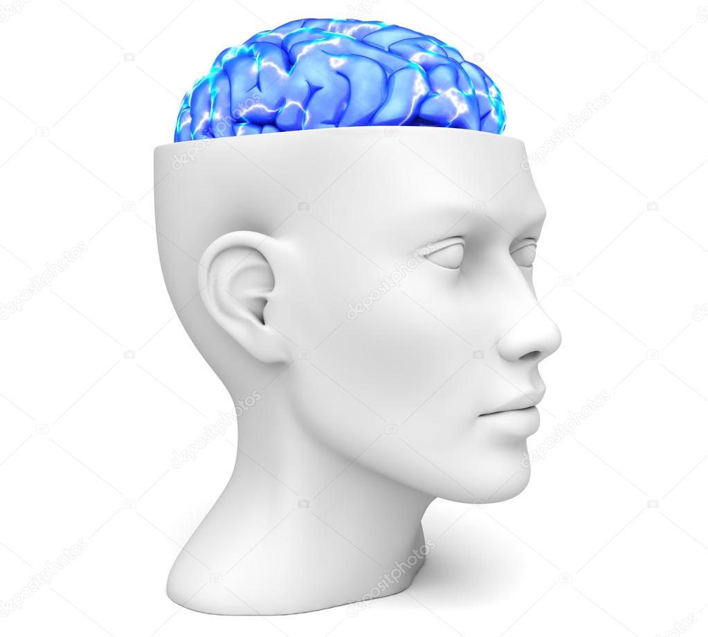 Head with active brain