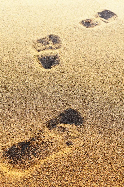 Fußabdrücke auf dem trockenen Sand. verschwommenes Bild. kann als Backgr verwendet werden Stockbild