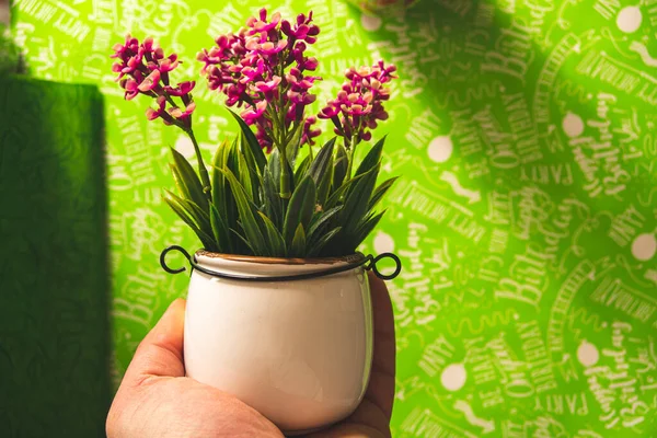 Beautiful Bouquet Flowers Pot — Stock Photo, Image