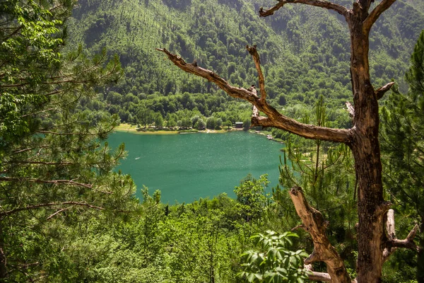 Vacker Utsikt Över Sjön Bergen Solig Dag — Stockfoto