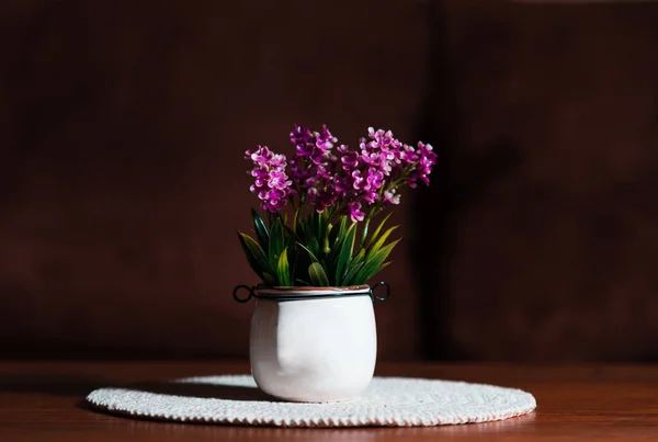 White Small Ceramic Vase Purple Flowers Dark Background Interior — Stock Photo, Image