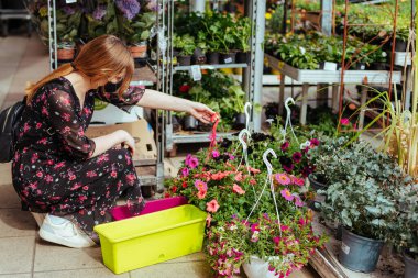 Saraybosna, Bosna-Hersek - 27.04.2021: Kadın sera açılışından sonra serada çiçek alışverişi yapıyor, 19.