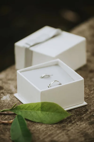 Anillos Oro Blanco Una Caja Con Hojas —  Fotos de Stock