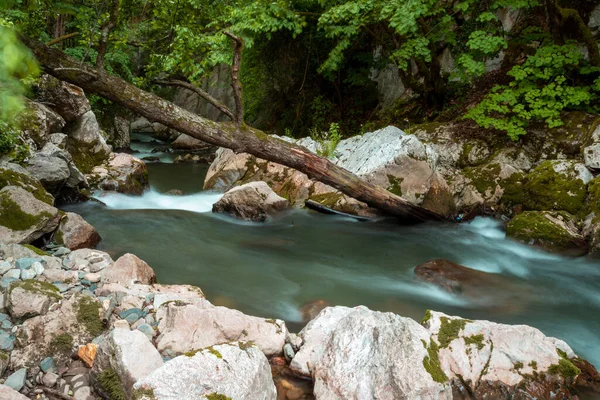 きれいな水の流れと岩が森の中に隠された美しい水のオアシス — ストック写真