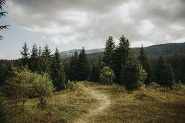 Dağlarda yürüme yolu olan bulutlu bir gökyüzü