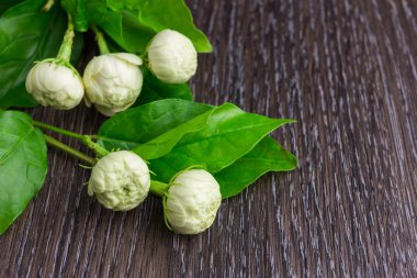 Eski ahşap üzerine tropikal Yasemin çiçeği