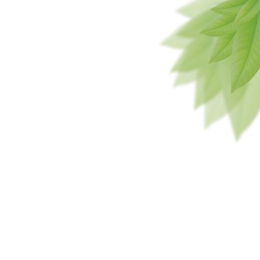 taze ve yeşil yaprak