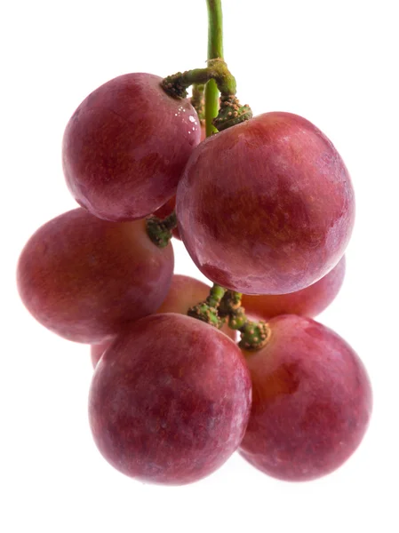 Red grape isolated on white — Stock Photo, Image