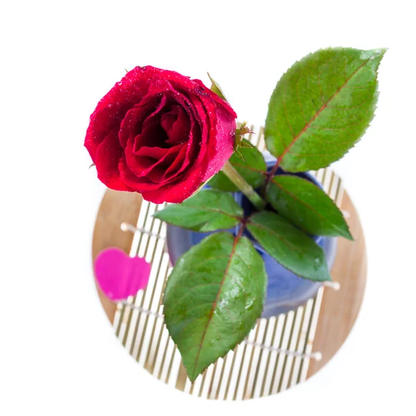 Czerwone róże izolowane na białym tle — Zdjęcie stockowe