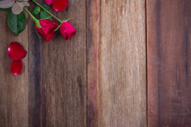 ahşap tahta üzerinde kırmızı gül