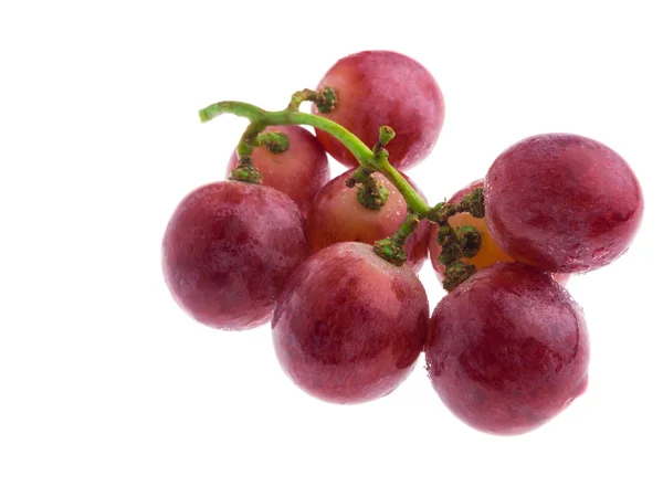 Red grape isolated on white — Stock Photo, Image