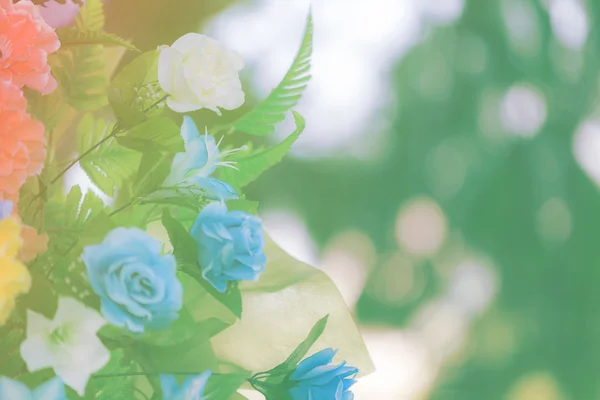 Flower pastel tone color — Stock Photo, Image