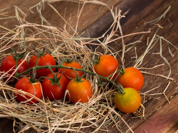 Färska körsbärstomater på gamla trä bakgrund — Stockfoto