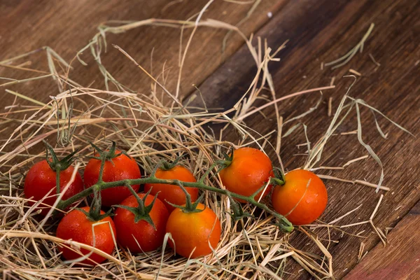 老木背景上新鲜的樱桃番茄 — 图库照片