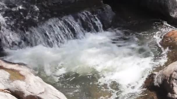 Wasserfall in Nakornnayok, Thailand — Stockvideo