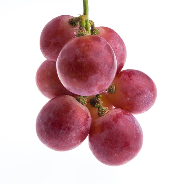 Red grape isolated — Stock Photo, Image