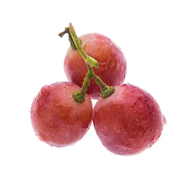 Red grape isolated on white — Stock Photo, Image