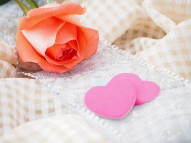 masa örtüsü üzerinde turuncu gül