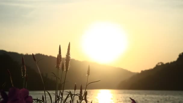 Nangrong cascade à Nakhonnayok, Thaïlande . — Video