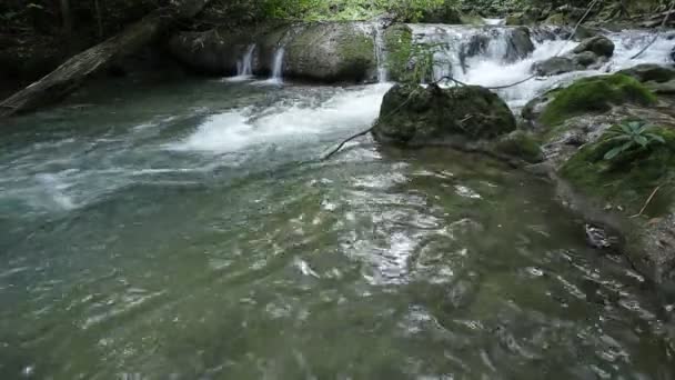 Cascada de Nangrong en Nakhonnayok, Tailandia — Vídeo de stock