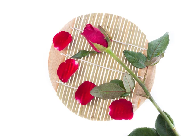 Czerwone róże izolowane na białym tle — Zdjęcie stockowe