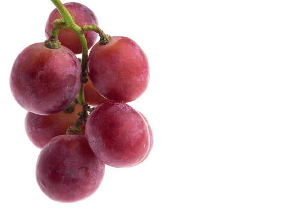 Uva roja aislada sobre blanco — Foto de Stock