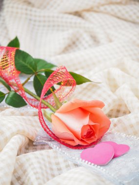 turuncu gül (Sevgililer kavramı)