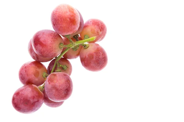 在白色背景上分离的红葡萄 — 图库照片