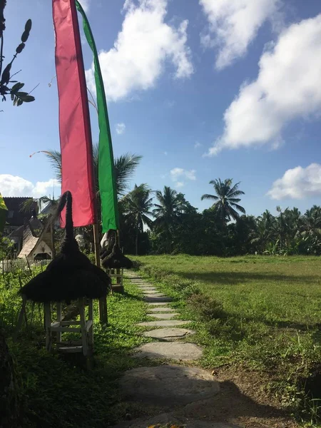 Calzada Como Camino Las Villas Ubud Bali — Foto de Stock