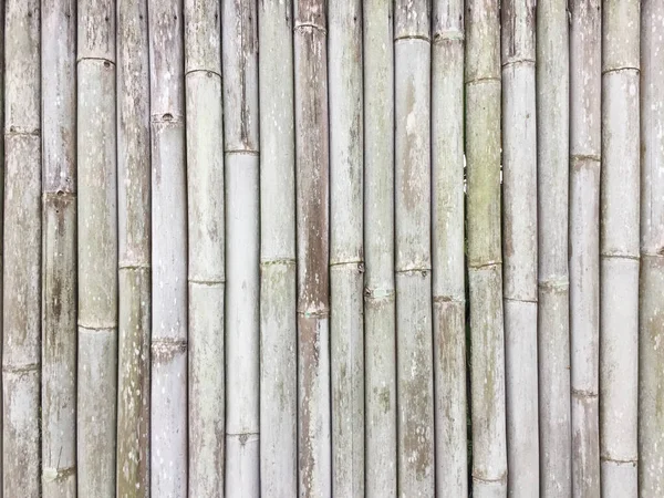Bamboo Boundary Wall Material Texture Pattern — Stock Photo, Image