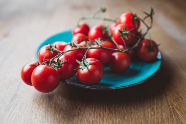 asma üzerinde domates