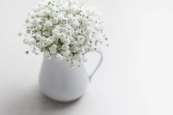 Flores de gypsophila en jarrón blanco — Foto de Stock