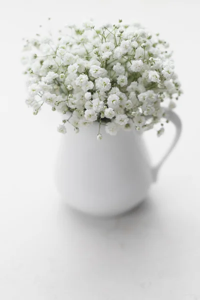 Gypsophila flowers in white vase — Stock Photo, Image