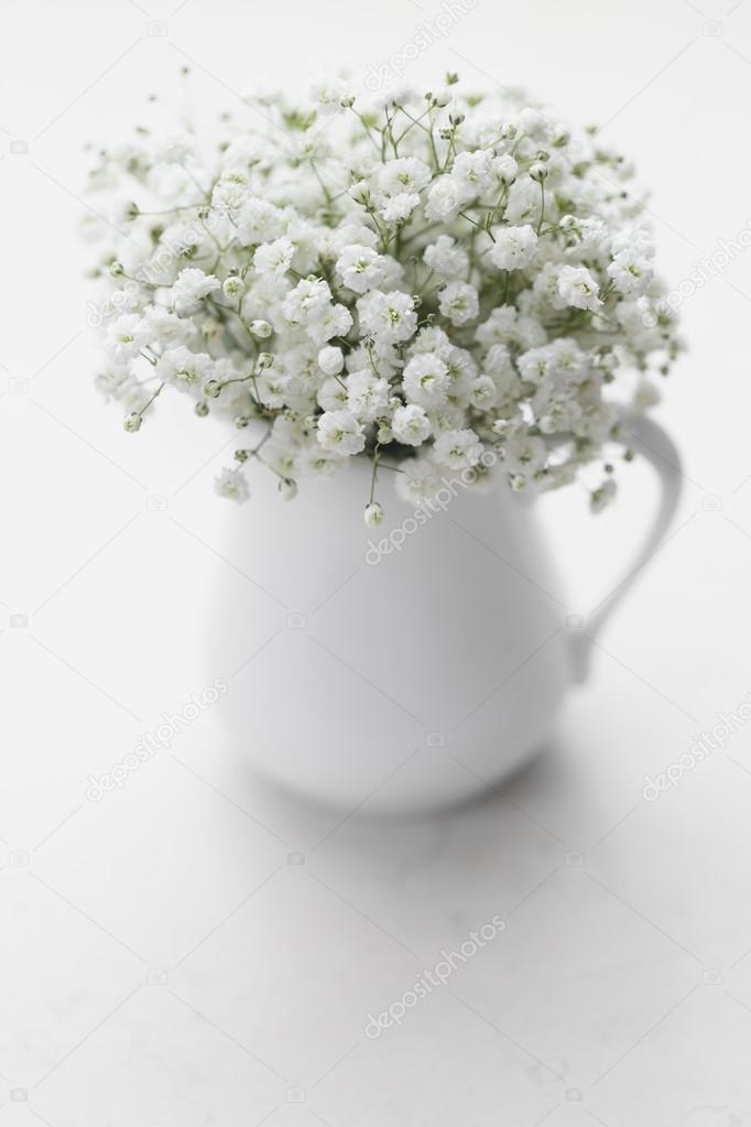 Gypsophila flowers in white vase