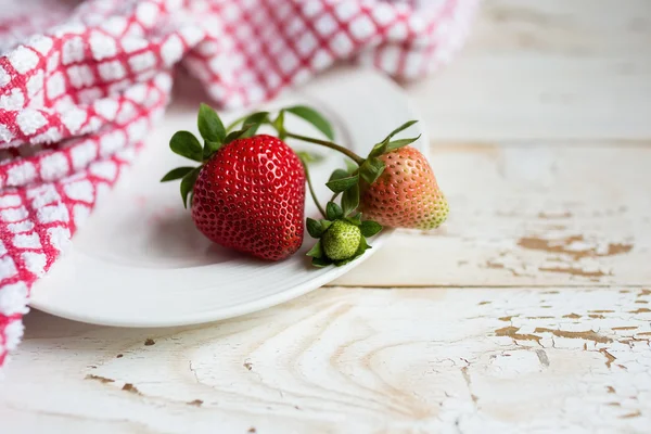 Fresas maduras e inmaduras —  Fotos de Stock