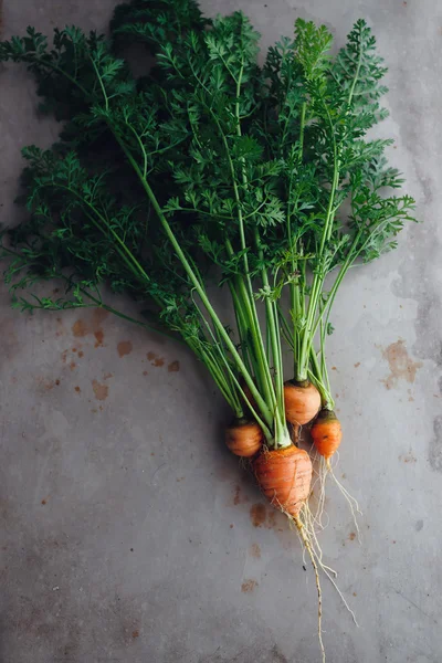 Small Round Carrots — Stock Photo, Image