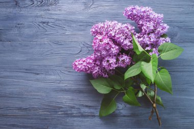 Freshly cut purple lilacs on wooden table. clipart
