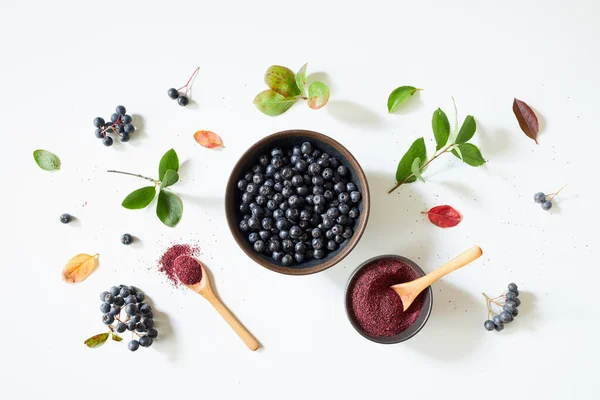 Aronia Bayas Polvo Sobre Fondo Blanco —  Fotos de Stock