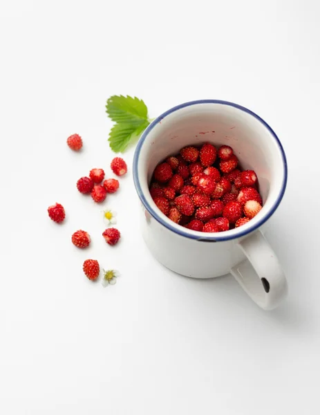 野草莓果实 — 图库照片
