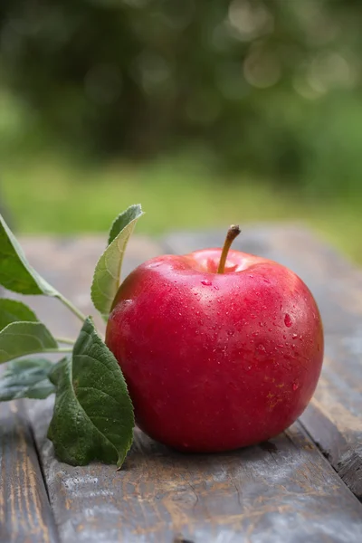 Manzana roja —  Fotos de Stock